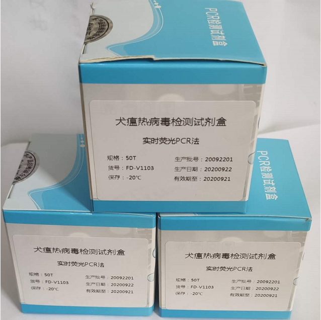 犬瘟热病毒实时荧光定量PCR试剂盒
